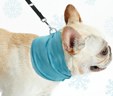 Dog Heaven™ Cooling Neck Wrap